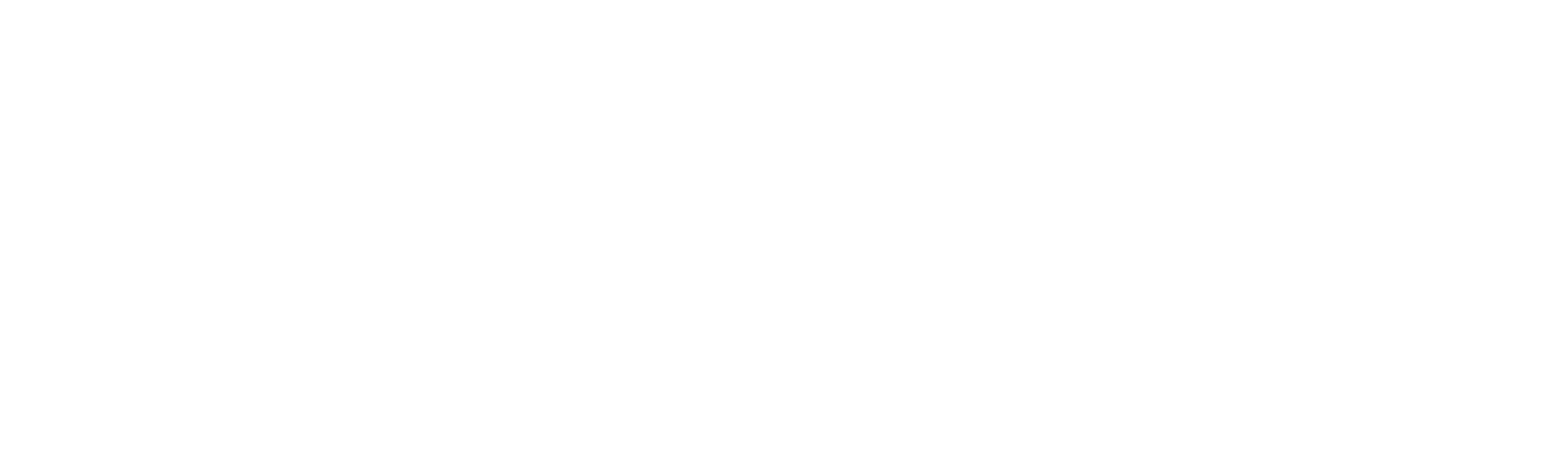 Ventus Nexus